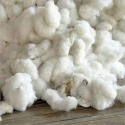 AB WORLD CLASS® Cotton for Pooja/Rui, 45g-image-54