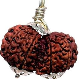 Gauri Shankar Rudraksha Nepali Pendant ???? ???? ????????? Original Nepal Natural Joint Shiv Parvati Rudraksha Gowri Shankar Rudraksha Original Certified Gori Shankar Rudraksha Nepali-4