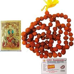 COMBO Rudraksha Mala with Golden Photo Frame (Shiva, Radha Krishna, Kali Maa, Durga Maa) | Unisex Spiritual Necklace for Puja & Meditation | Traditional Gift Set for Men & Women | 5 Mukhi, 8mm Size-image-38