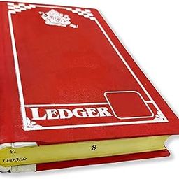 LRS Ledger Super Heavy Quality Canvas Bound - 110 GSM Thick High Bright Ultra Smooth Paper - Register Size (495 Pages)-image-15