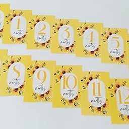 White and Yellow Baby Monthly Milestone Card, Record 0-12 Months Baby Shower/Gift Scrapbook/ Photo Keepsake Monthly Age Markers Card (13 Pcs).-image-29