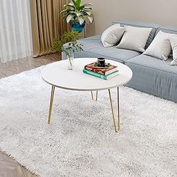 BLUEWUD Mayrite Round Engineered Wood Coffee Center Sofa Tea/Teapoy Console Table with Hairpin Leg for Sofa Set Living Room Home Hall (White)-image-40