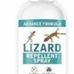 Natural Lizard Repellent Spray for Home | Herbal Spray Lizard Killer | Indoor Lizard Trap Solution | Anti Lizard Spray for Walls | Herbal Repellent for Lizards-image-63