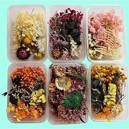 KRYTONE�.Fx Dried Flowers for Resin Art - Natural Dry Flowers for Decoration, Candle Making, Soap Making, Nail Art & DIY (Pack of 1, Assorted)-image-63