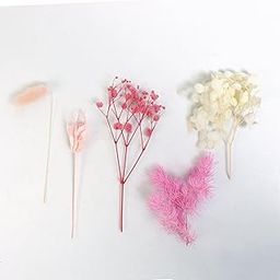 Itsy Bitsy Assorted Natural Dried Flowers Rosy Blooms - 1 Box-picture-23