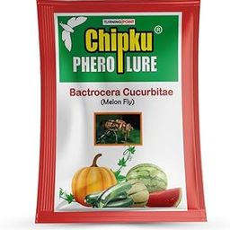 Chipku- Pheromone lure for Melon fly (Bactocera cucurbitae) pack of 2 melon fly lure-image-42
