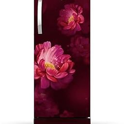 Whirlpool 192 L 3 Star Direct-Cool Single Door Refrigerator (215 Icemagic Pro ROY 3S Wine Peony-Z, 2023 Model)-picture-20