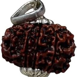 BluDiamond 10 Mukhi Rudraksha Nepal Dus Mukhii Rudraksh 10 मुखी रुद्राक्ष Original Certified By Lab Natural Ten Mukhe 10 Face Rudraks Brown Baeds Blessing Krishna For Men Women दस मुखी रुद्राक्ष-picture-9