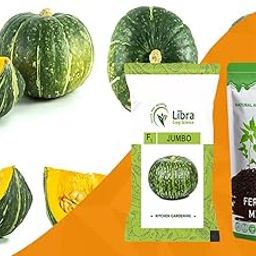 Pumpkin Seeds for Home Garden | Farming | Vegetable | Kitchen | Hybrid | Planting | Terrace | Balcony | Eating | Green Pumpkin | Large Melon | Cucurbita Pepo | Kaddu Vegetables | Kumbalanga : 56 Seed-image-77