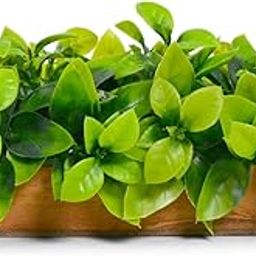 Artificial Plant Leaves in Wooden Rectangular Tray, Home décor Items for Decoration Height 11cm x Width 20 cm DB-8156-24
