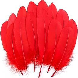 Tdas 50+ Pcs Natural Dyed Goose Feathers for Craft 6-8 inches Arts Fluffy Dream Catcher Making kit for Decoration Projects Earrings Colourful for Kids Handmade Wedding Home (Red)-5