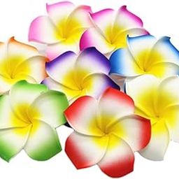 12 Pieces Artificial Fake Foam Hawaii Frangipani Floating Beach Champa Flowers for Hair, Hat,Pooja, Festival and Events, Bedroom, Wedding, Party, Marriage and Home Decor DIY (12 Pieces) (MULTI COLOR)-picture-20