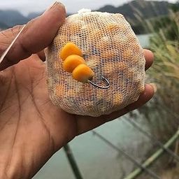UJEAVETTE® PVA Carp Fishing Mesh for Boilie Rig Bait Wrap Bag Fishing Net Equipment 25Mmx5M Tube Package-12