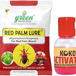 Pheromone Lure for Red Palm Weevil (Rhynchophorus ferrugineus) Pack of 4-11