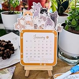 Desk Calendar 2025 with holidays | Calendar + Easel stand + Magnetic Erasable marker + 2 Note cards | Nov - Dec 2024 included | 6 in x 4 in | Cute Cat theme | Ideal for gifting (Cats)-image-72