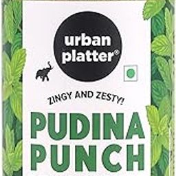 Urban Platter Pudina Punch Seasoning, 100 Grams (Mint Seasoning | Refreshing and Appetizing | Classic Pudina Flavour)-image-55