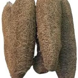 Gourd Bath Scrub (Peerkangai Bath Scrub) Pack of 5-image-1