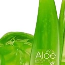 Best Aloe vera Gel Scrub For Girls & Boys-image-49