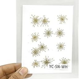 YellowCult Natural Real Dried & Pressed Flowers for Art Craft - Mixed, Multicolor for Soap, Candle, Scrapbooking, DIY, Resin Jewelry, Pendant - [Snowdrop Flower-White]-image-75