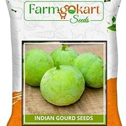 Farmgokart | 200 Grams - TINDA -INDIAN ROUND GOURD (TINSI) SEEDS | Perfect for Home Gardening, Open Farming and Poly House Farming-image-15