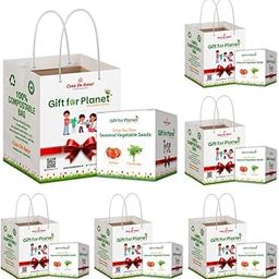 Casa De Amor Gift for Planet Grow Your Own Vegetable Kit for Kids – DIY Gardening Kit with Pot, Seeds, Soil – Eco-Friendly Return Gift (Set of 6)-image-45