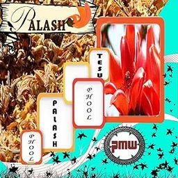 Pmw - Grade A Dried - Palas - Palash Flowers - Bilas- Papda - Brehma - Vriksham - Chamatha - Butea Monosperma - Moduga Flowers - 500 Grams --image-97
