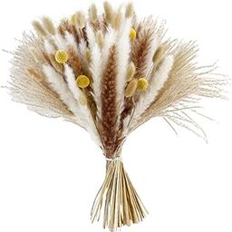 ARTISOUL® Natural Pampas Grass Bouquet Reed for Desk Photographing Flower Arrangements Style D | Home Decor | Floral Decor-image-64