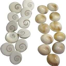 Suninow atural Gomati/Gomti Chakra Original for Puja (White) ? 11 Pieces (11)-image-32