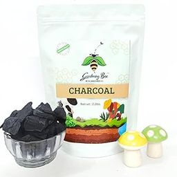 Gardening Bee Wood Based Activated Charcoal (8-12mm Sized Graded) for Orchid Potting, anthurium Plants, Horticultural Grade, Grilling, Barbecue (2 Kilogram)-image-61
