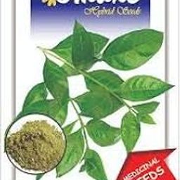 Mehendi Herb Herb Seeds Pack of 2 Kitchen garden seeds packet-image-99