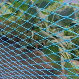 RK Trends Bird Net/Kabutar Jaali/Pigeon net/Safety net/Sports net/Monkey Net/Child Protection Net(12 Ply Thickness 0.85MM) with Installation kit (10Ft x 20Ft, Blue)-image-20
