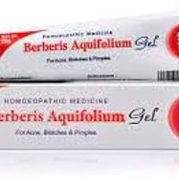 SBL Berberis Aquifolium Cream 25gms (Pack of 5)-image-76