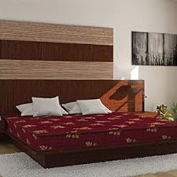 Centuary Mattresses Coir Bubble Double Mattress, Red (75X48X4)-18
