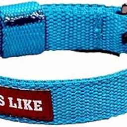 Pets Like Prefect Creation Collar, Sky Blue (20 mm)-image-69