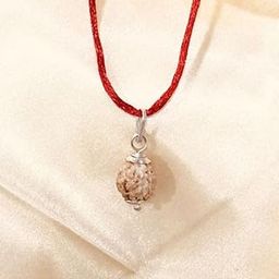All Stone 2 Face Rudraksha Original Certified 2 Mukhi Rudraksha Round Nepali Premium Bead Do Mukhi Rudraksha Two Faced Rudraksha 2 मुखी रुद्राक्ष ओरिजिनल लैब सर्टिफाइड for Astrological Purpose-7