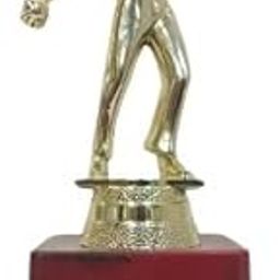 Royal Trophy Golden Metallic Fibre Winner Best Cricket Event Bowler Player Showpiece Performance Champion Prize Award-image-51