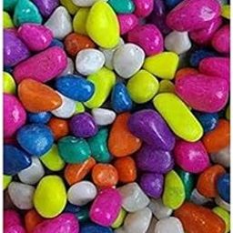 Decorative Multi Color Stones 475 Grams-image-83