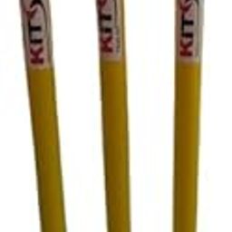 Plastic Stumps-22