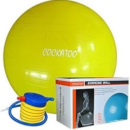 Cockatoo Anti-Burst Gym Ball (55 Cm to 95 Cm) with Foot Pump, Exercise Ball-image-23