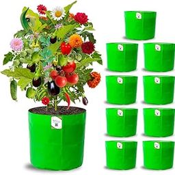 ORGANIC BAZAR 12x12 Grow Bags for Terrace Garden, Premium HDPE Green-Orange Planters for Vegetable Plants for Indoor-Outdoor Garden (Pack of 10)-image-26