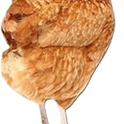 HEAVENGLOW Garden Stakes Garden Decoration Chicken Sculpture for Outdoor Backyard Patio Style A-image-68