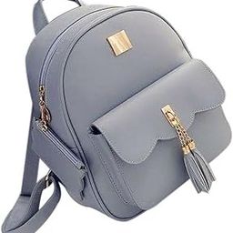 fashionhawk GIRL'S LATEST TRENDY SMALL BROWN BAGACK WITH SMALL POUCH FOR CASUAL & TRAVELLING 4 L Backpack (bag165)-image-99
