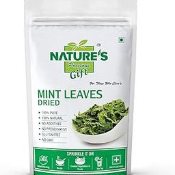 Nature's Gift - For Those Who Care's Mint Leaves Dried - 400 GM-image-54