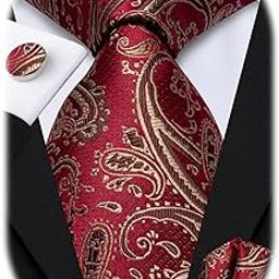 Mens Paisley Tie Handkerchief and Cufflinks Silk Necktie For Men-image-82
