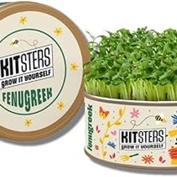 KITSTERS DIY Grow in a Can Kit : Fenugreek | Cocopeat Disks - Seeds - Spray Bottle - Vermicompost | Birthday Gifting | Fun Kids & Adults Activity | Detailed Video Workshop Included-image-80