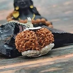 NEXG Precious Gauri Shankar Rudraksha Original Certified Nepali Gori Shankar Rudraksha with Silver Locket Shiv Parvati Rudraksha Pure Bead Gowrishankar Rudraksa for Astrology गौरी शंकर रुद्राक्ष-picture-21