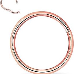 Titanium Nose Rings 20G 18G 16G Nose Rings Hoops Septum Clicker Hinged Segment Ring Cartilage Helix Tragus Conch Daith Rook Hoop Earring, Diameter 5mm to 12mm Silver Gold Body Piercing Jewelry-image-37
