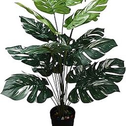 BAARIG Artificial Monstera Plant, 70 cm Height, Large Tropical Leaves, Black Pot with Decorative Stones (Multi-Monstera)-image-50