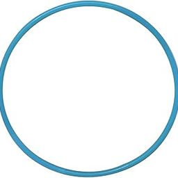 Fairyfrolic Colorful Plastic Hula Hoop Exercise Ring for Kids – Adjustable Size, Lightweight, Outdoor & Indoor Fun Fitness Toy for Boys & Girls (Set of 1) (Blue-18 inch)-image-55