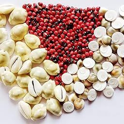 Pmw - Natural and Very Rare Siddha Gomati Chakra (11 Pieces), Rakta (Red) Gunja/Chirmi Beads (51 Pieces) & PILI Kawdi (11 Pieces) for Goddess Lakshmi & Vastu-image-78